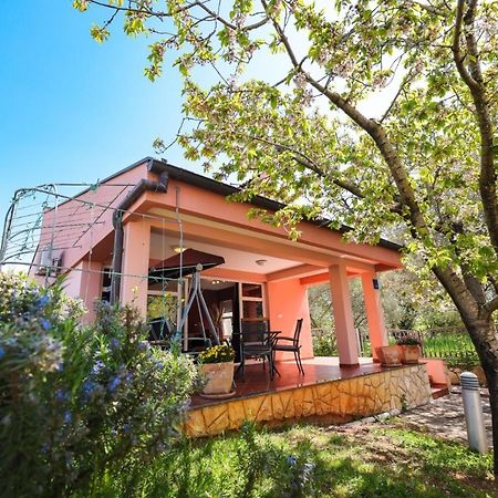 Holiday Home Cvita Sukošan 外观 照片