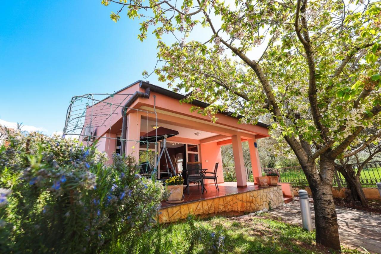 Holiday Home Cvita Sukošan 外观 照片